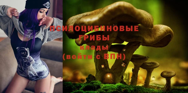 эйфоретик Козельск